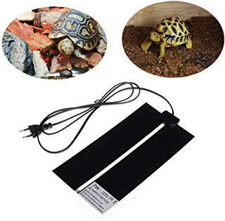 Cama termica para reptil